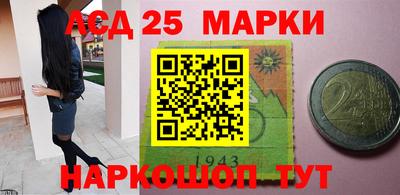 индика Гусев