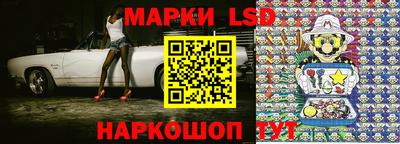 индика Гусев