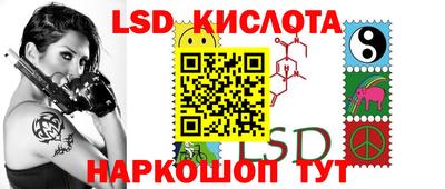 индика Гусев