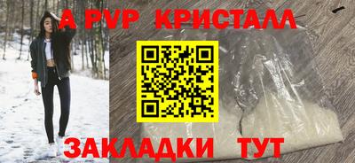 индика Гусев
