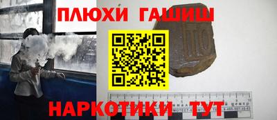 индика Гусев
